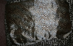 20140812_023952-1_resized